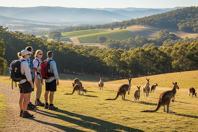 Yarra Valley by night! Private wine, whisky and dinner tour - Why this evening tour works