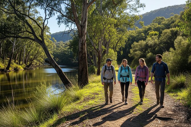Yarra Valley by night! Private wine, whisky and dinner tour - Transport is the practical advantage