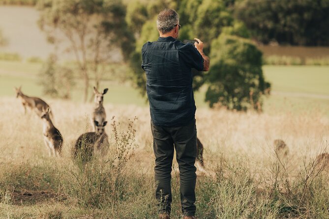 Yarra Valley by night! Private wine, whisky and dinner tour - Who should book it
