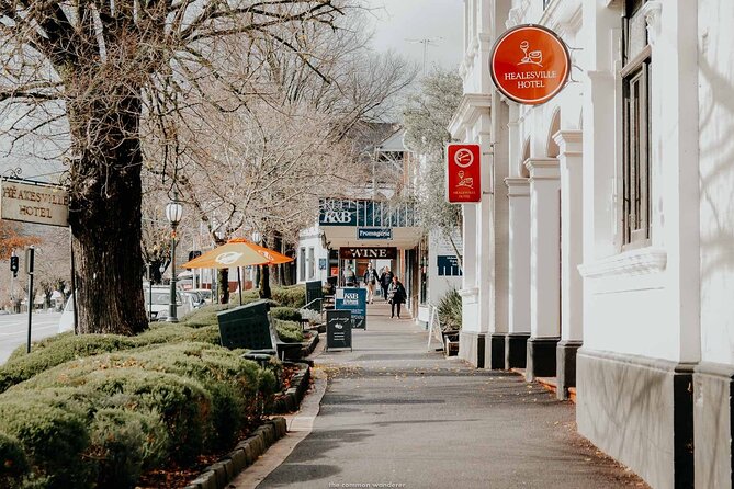 Yarra Valley Foodie Tour, Devonshire Tea, Cheese and Chocolate - Cheese, bread and local extras in Healesville