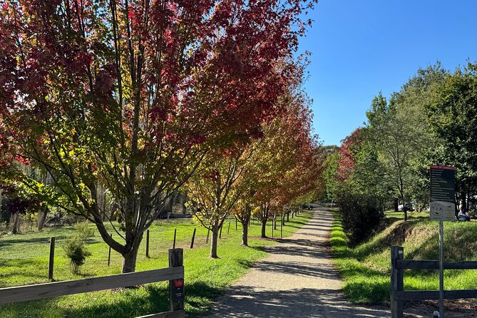 Yarra Valley Foodie Tour, Devonshire Tea, Cheese and Chocolate - Why the four-hour timing matters