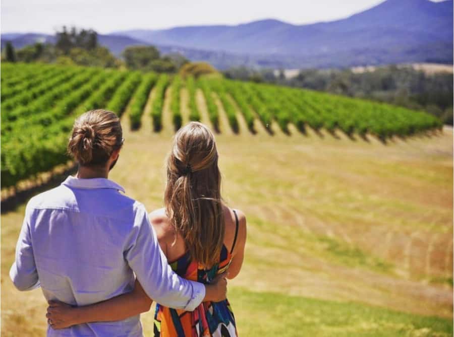 Yarra Valley Foodies Tour with Chandon and Kangaroo Safari! - Why this Yarra Valley tour works so well
