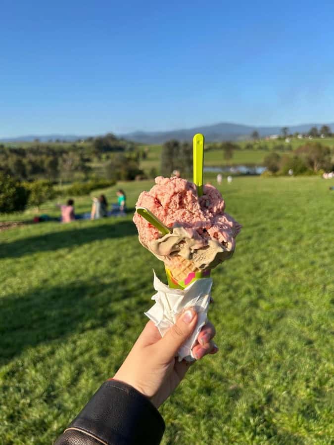 Yarra Valley Foodies Tour with Chandon and Kangaroo Safari! - Is the $123 price good value?