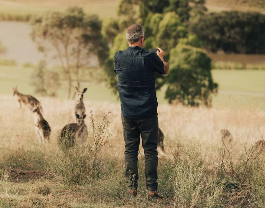 Yarra Valley Foodies Tour with Chandon and Kangaroo Safari! - Chocolate, ice cream and a busy final tasting