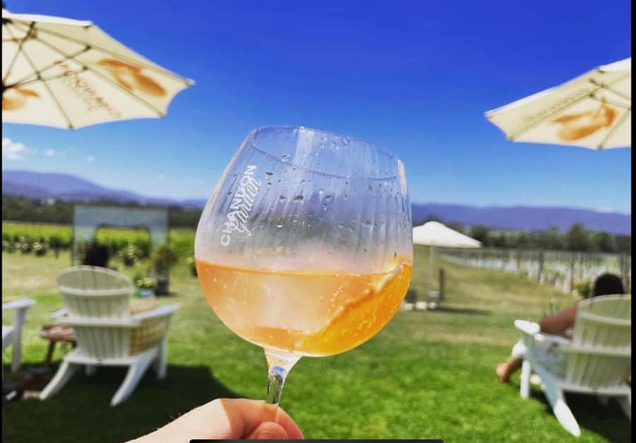 Yarra Valley Foodies Tour with Chandon and Kangaroo Safari! - Chandon, sparkling wine and a view