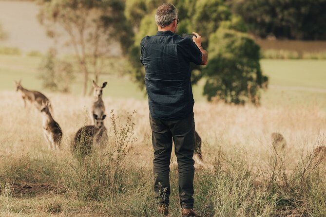 Yarra Valley Foodies Tour with Chandon & Kangaroo Safari! - Yering Station and included cool-climate wines