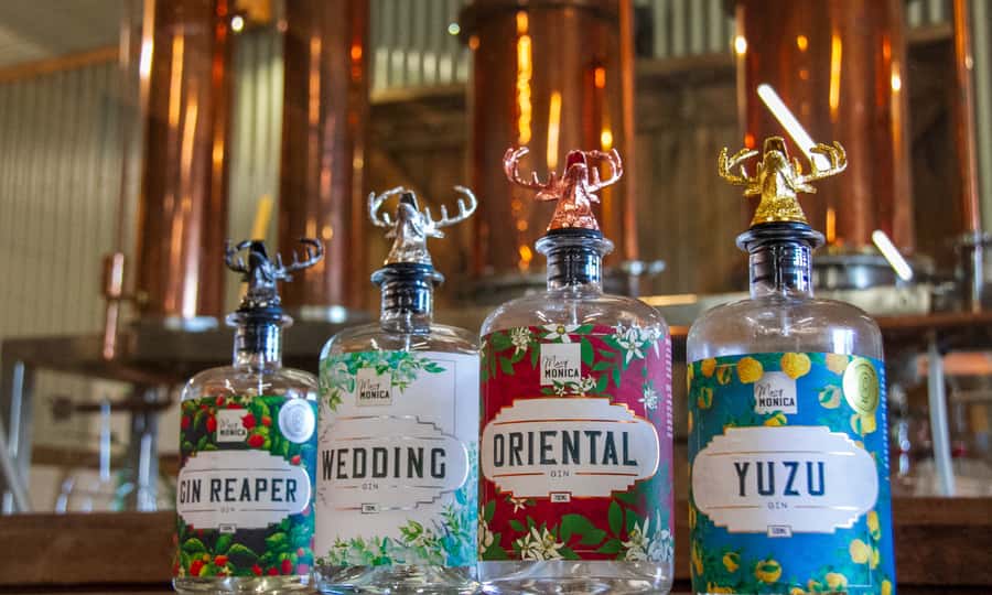 Yarra Valley Full Day Grazing Tour: Gin, Wine, Pizza, Cheese - Who should book this food and wine day