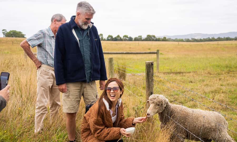 Yarra Valley Full Day Grazing Tour: Gin, Wine, Pizza, Cheese - What $133 includes, and where the value sits