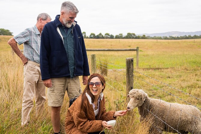 Yarra Valley Grazing Tour Wine, Cheese, Gin, Pizza from Melbourne - Transport, timing and what to bring