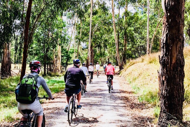 Yarra Valley Guided Bike Tour | Food & Wine Region - Soumah Winery and the cold-climate wine focus