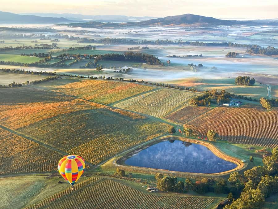Yarra Valley: Hot Air Balloon with Breakfast & CBD Transfers - GoPro photos and small keepsakes