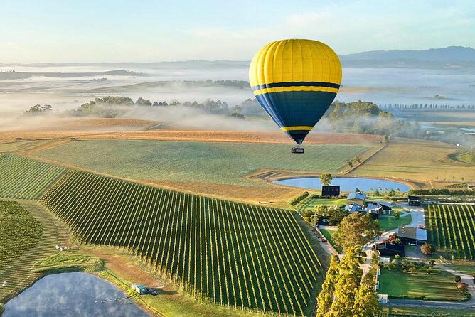 Yarra Valley Sunrise Balloon Flight with GoPro Photos - Photos, certificates, and a useful souvenir