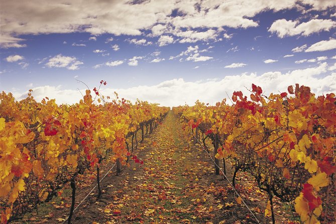Yarra Valley Wildlife & Wine Day Tour with Healesville Sanctuary - How the $236.69 price adds up