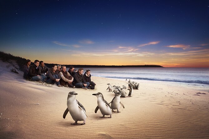 Yarra Valley Wildlife & Wine Day Tour with Healesville Sanctuary - Who will enjoy this day most