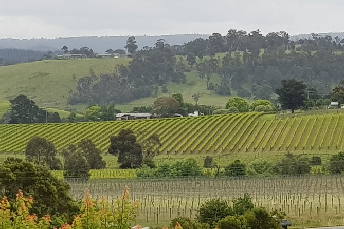 Yarra Valley Wine Tasting Day Tour from Melbourne - Key points to know