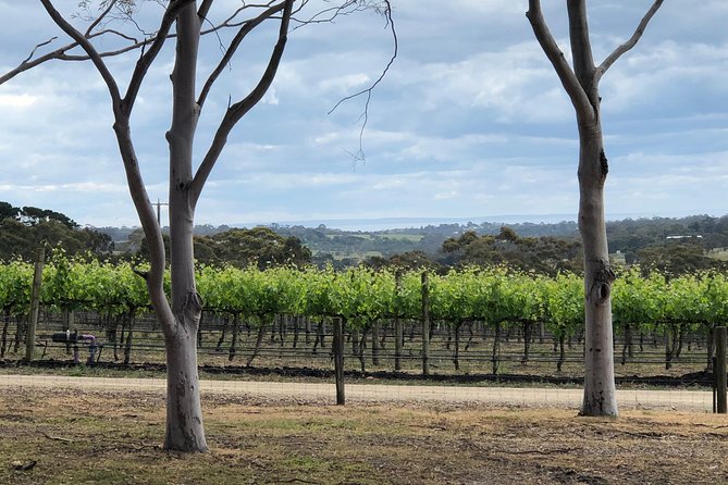 Yarra Valley Wine Tour inc lunch with a glass of wine, tastings and chocolate - Helen’s Hill Estate starts the tasting
