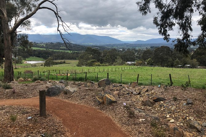 Yarra Valley Wine Tour inc lunch with a glass of wine, tastings and chocolate - Coombe Yarra Valley adds history and atmosphere