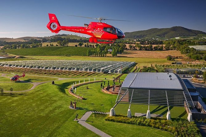 Yarra Valley Wine & Wildlife - Private Regional Tour - Why this Yarra Valley day feels different