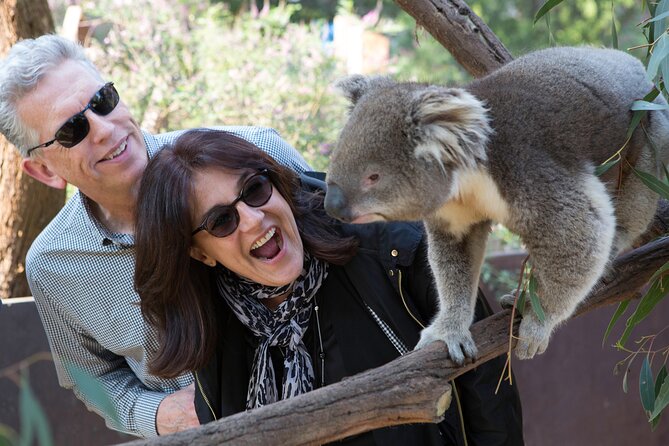 Yarra Valley Wine & Wildlife - Private Regional Tour - Who will enjoy this private day most