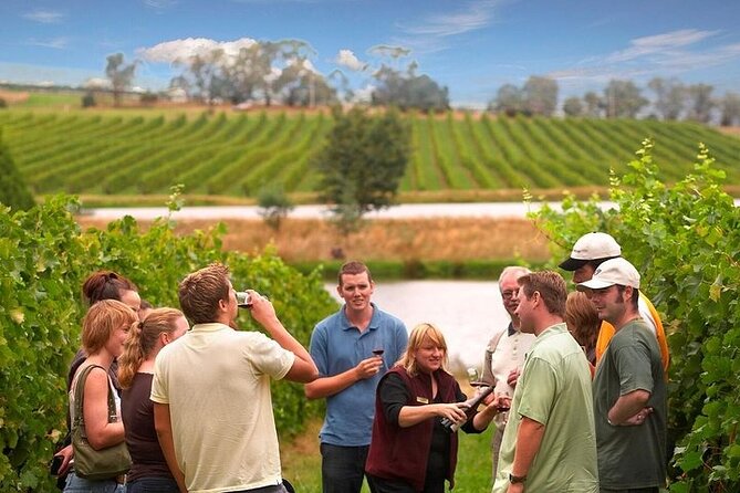 Yarra Valley Wine & Winery Tour from Melbourne - All Inclusive! - From Melbourne to the Yarra Valley