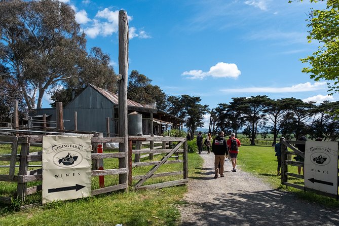 Yarra Valley Wine & Winery Tour from Melbourne - All Inclusive! - Greenstone Vineyards and the first tasting