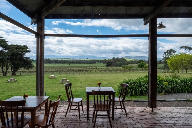 Yarra Valley Wine & Winery Tour from Melbourne - All Inclusive! - Where the tour can fall short