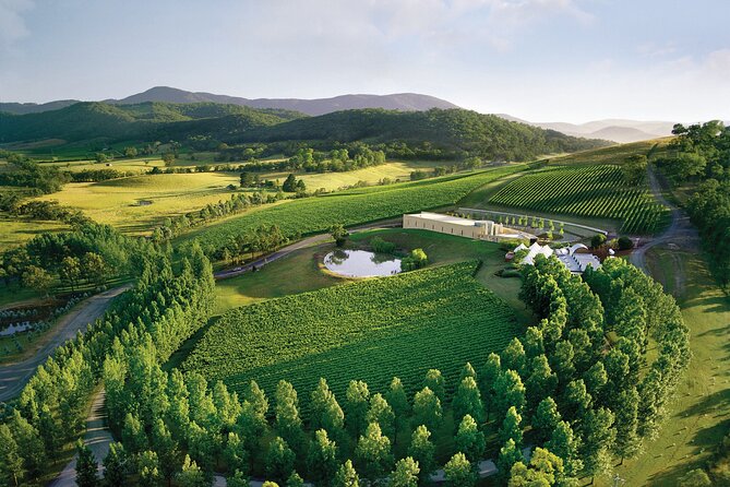 Yarra Valley Wineries Private Day Tour - Why the Yarra Valley makes a strong wine day from Melbourne