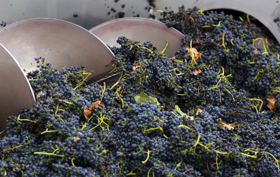 Yarra Valley: Winery Tour with Lunch at Yering Station - Why this Yarra Valley tour is different